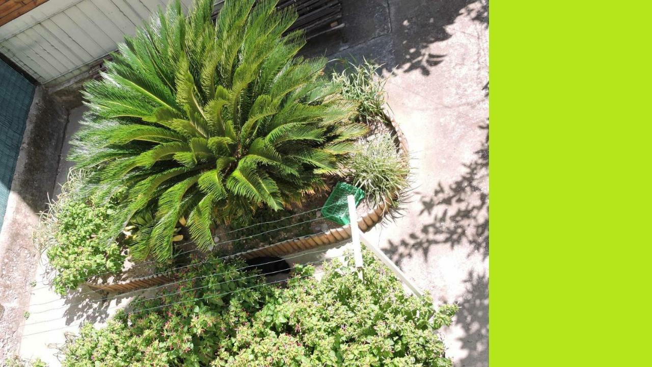 Nice/Nizza : Apartment Εξωτερικό φωτογραφία